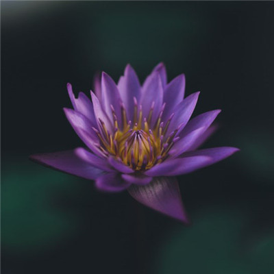 2023年妈妈头像(28张)