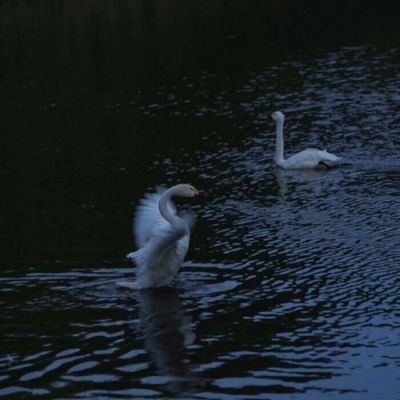 暗色系风景头像(精选20张)