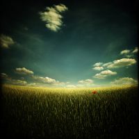 暗色系风景头像(精选20张)