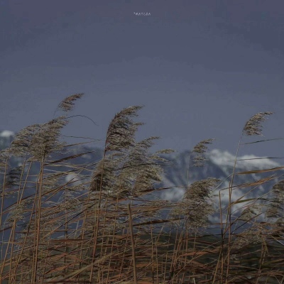 暗色系风景头像(精选20张)