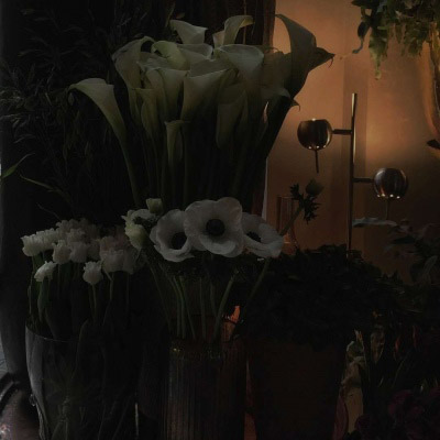 暗色系风景头像(精选20张)