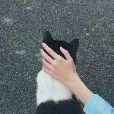 只有一只手的头像(24张)