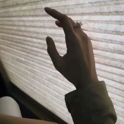 只有一只手的头像(24张)