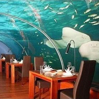 成熟男士专用微信头像(精选22张)