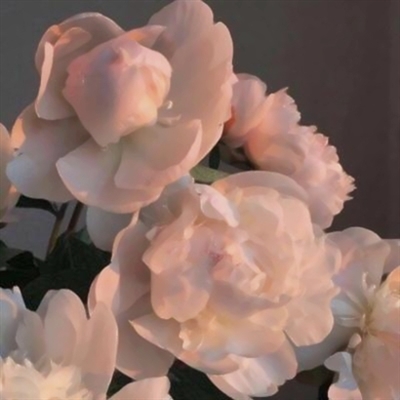 阳光干净的微信头像(22张)