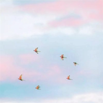 阳光干净的微信头像(22张)