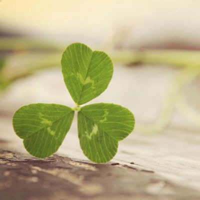 清新脱俗的风景头像(精选26张)