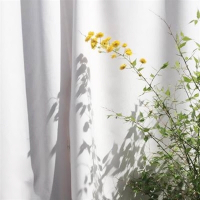 清新脱俗的风景头像(精选26张)