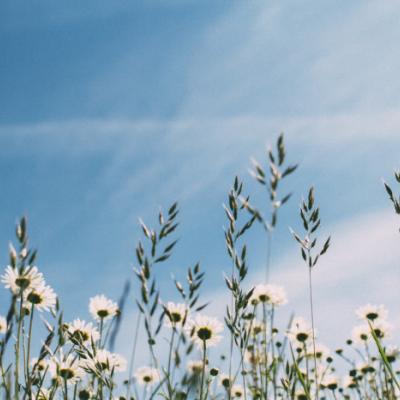 找一个风景头像(30张)