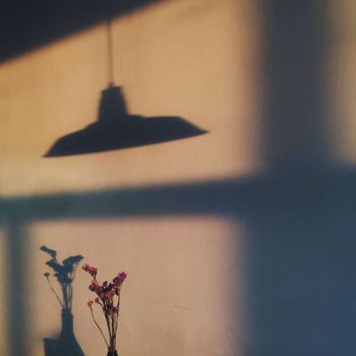 找一个风景头像(30张)