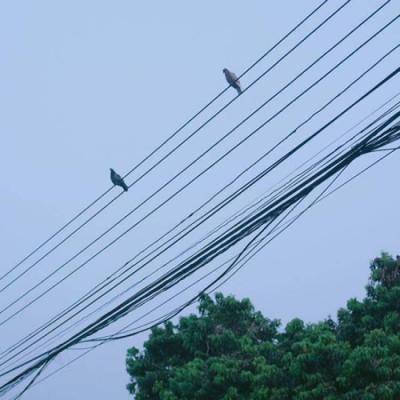 找一个风景头像(30张)