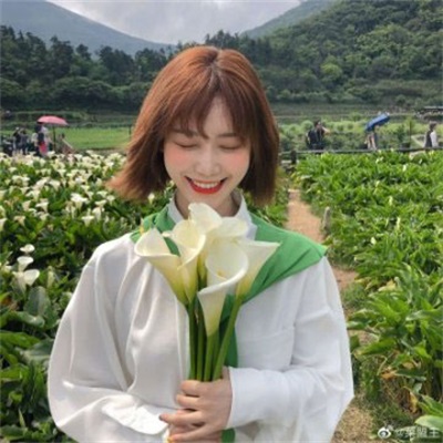 最旺财的微信头像(精选28张)