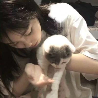 女头带宠物头像(24张)