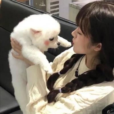 女头带宠物头像(24张)