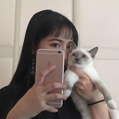 女头带宠物头像(24张)