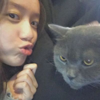 女头带宠物头像(24张)