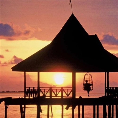 特别稀少超好看的头像(22张)