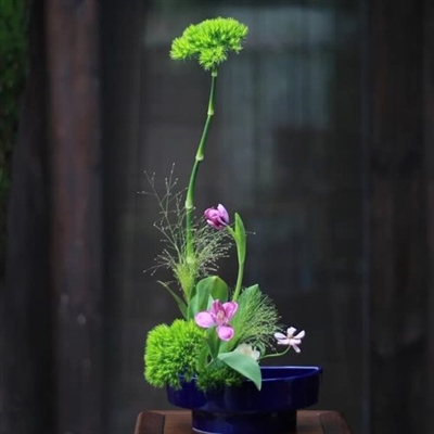 三十岁女人淡雅气质头像(精选26张)