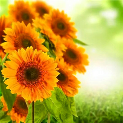 运气越来越好的微信头像(精选20张)