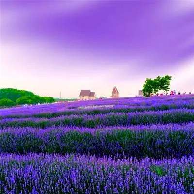 运气越来越好的微信头像(精选20张)