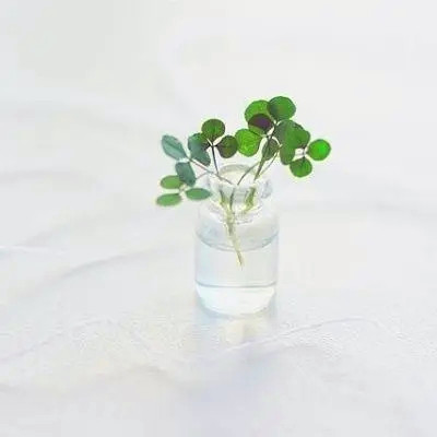 运气越来越好的微信头像(精选20张)