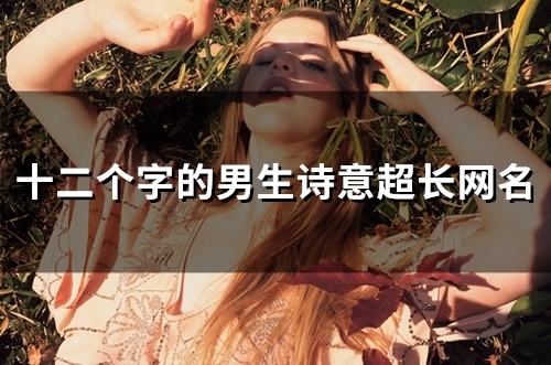 十二个字的男生诗意超长网名(87个)