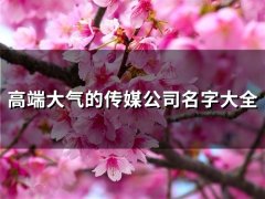 高端大气的传媒公司名字大全(100个)