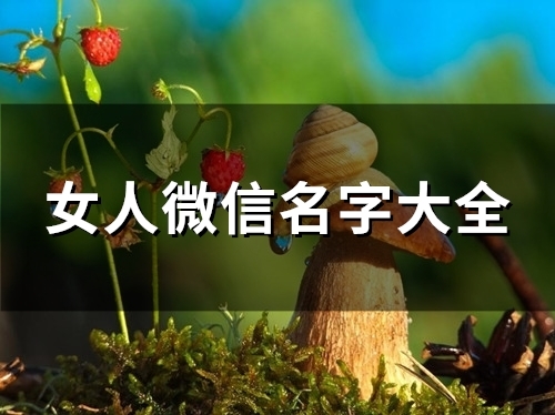 女人微信名字大全(101个)