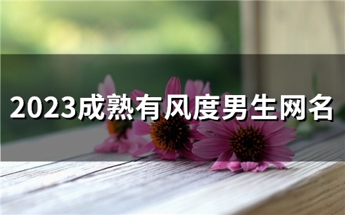2023成熟有风度男生网名(精选98个) 2023成熟有风度男生网名(精选98个)