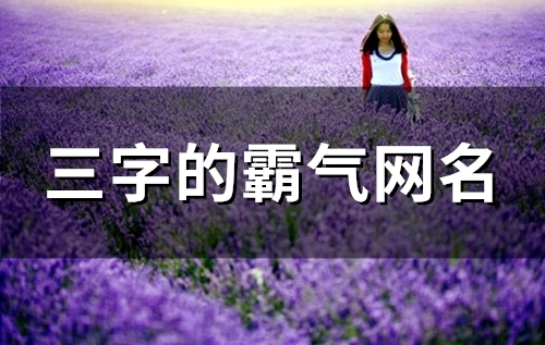 三字的霸气网名(133个)