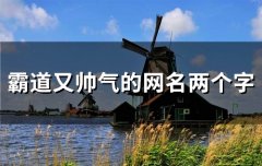 霸道又帅气的网名两个字(151个)
