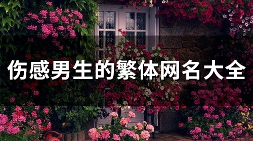 伤感男生的繁体网名大全(101个)