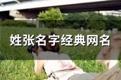 姓张名字经典网名(49个)