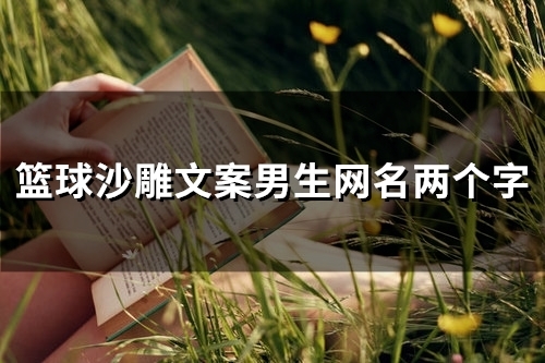 篮球沙雕文案男生网名两个字(109个)