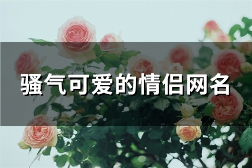 骚气可爱的情侣网名(精选139个)