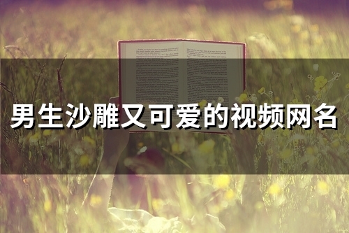 男生沙雕又可爱的视频网名(精选148个)