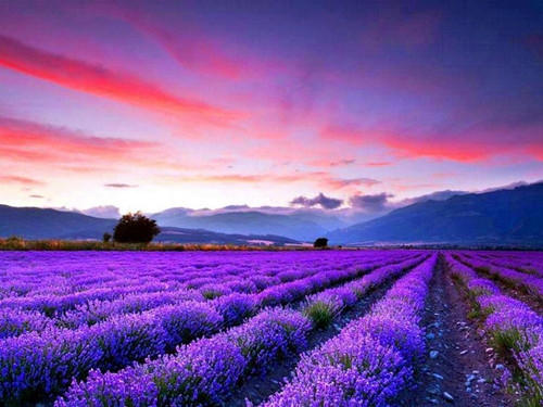 男人网名字大全(精选109个)