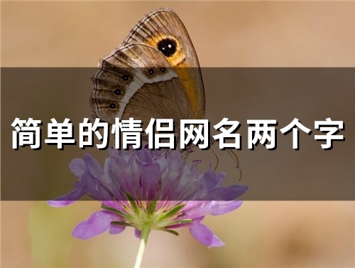 简单的情侣网名两个字(101个)