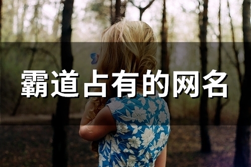 霸道占有的网名(112个)