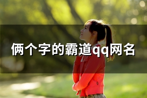 俩个字的霸道qq网名(120个)