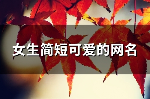 女生简短可爱的网名(104个)