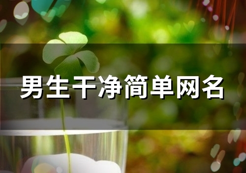 男生干净简单网名(精选84个)