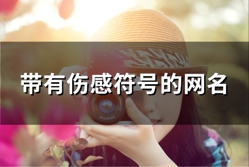 带有伤感符号的网名(精选98个)