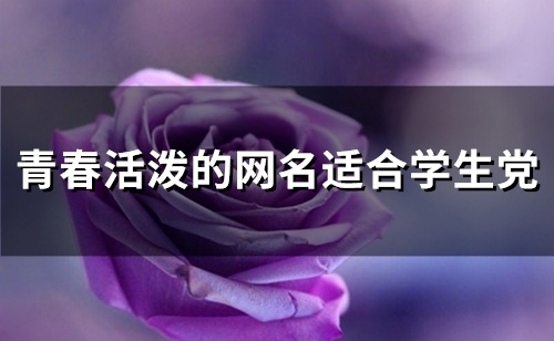 青春活泼的网名适合学生党(90个)