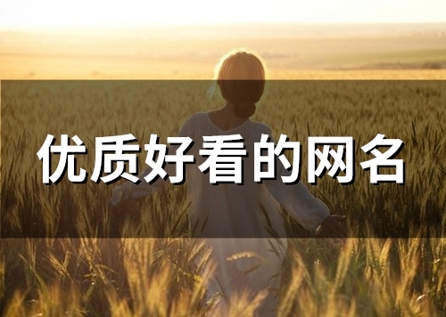 优质好看的网名(精选116个)