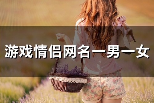 游戏情侣网名一男一女(91个)