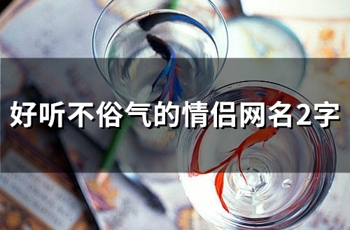 好听不俗气的情侣网名2字(精选127个)
