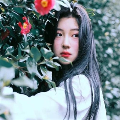 一辈子都不用换的微信头像(24张)