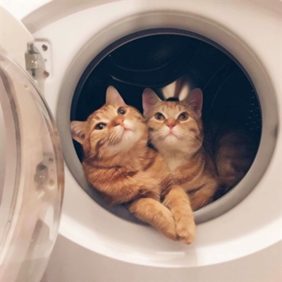 萌萌哒情头像情侣头像(18张)