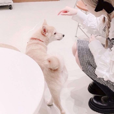 对象不是人系列情头像(22张)